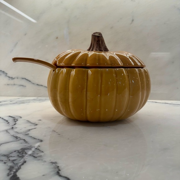 Pottery Barn Stoneware Pumpkin Tureen - Picture 1 of 8